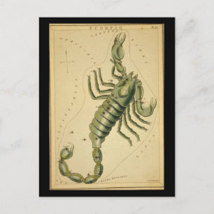 Scorpio Postkarte