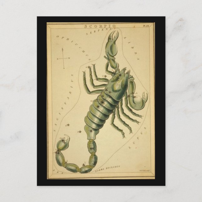 Scorpio Postkarte (Vorderseite)