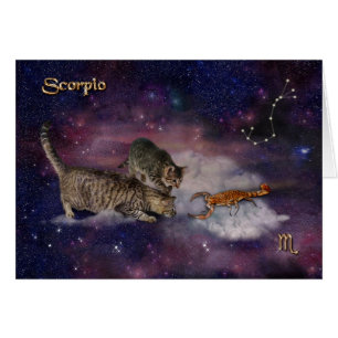 Scorpio pour Amoureux de les chats