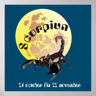 Scorpion 24 octobre au 22 novembre Affiche