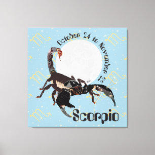 Scorpion 24 octobre au 22 novembre Toile