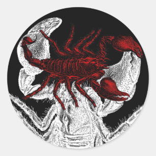 Scorpion rouge - Sticker