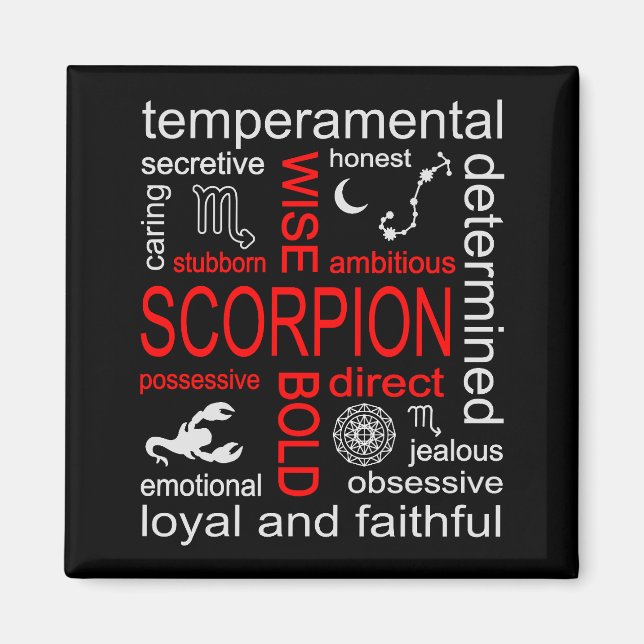 Scorpion Zodiac Sign Magnet (Vorne)