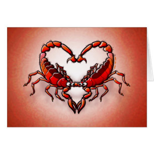 Scorpions affectueux