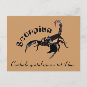 Scorpiun 24 october fin 22 november Postkarte