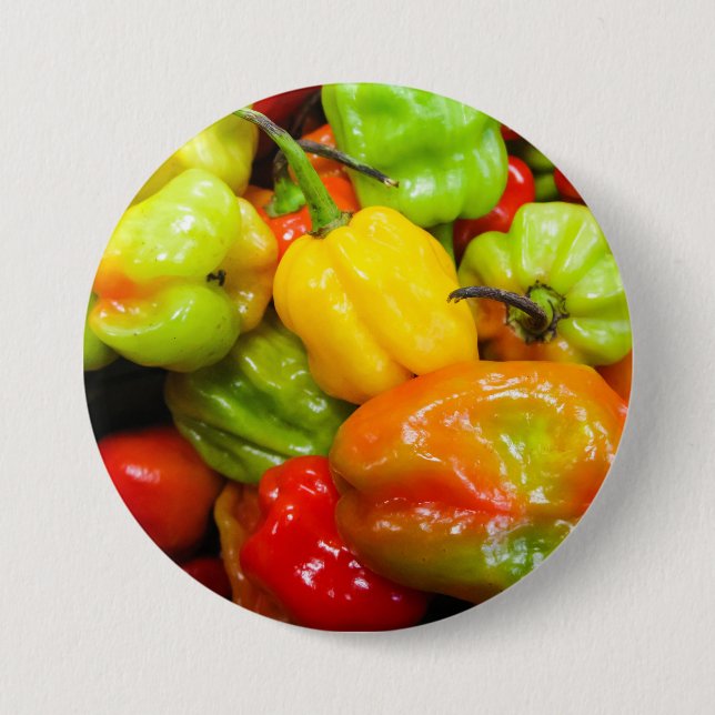 Scotch Bonnet Chili Paprikaschoten Button (Vorderseite)