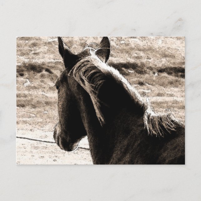 Scotch in Brown Tones Postkarte (Vorderseite)