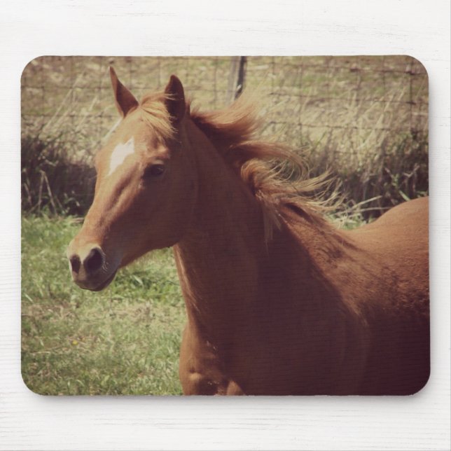 Scotch in Motion Mousepad (Vorne)