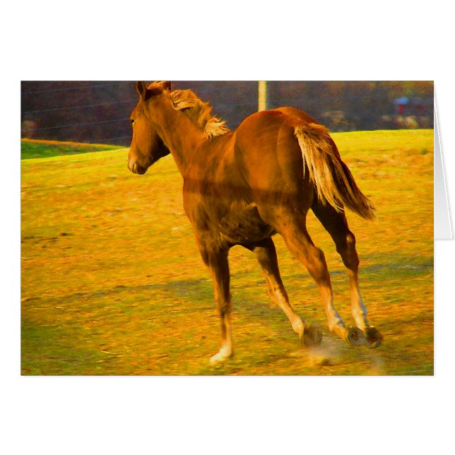 Scotch Run~ Peinture à l'huile (Devant horizontal)