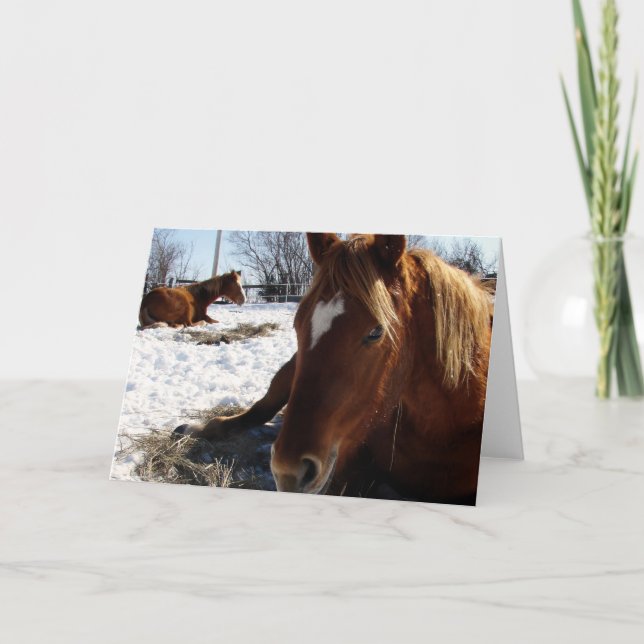 Scotch Sleeps Karte (Vorderseite)