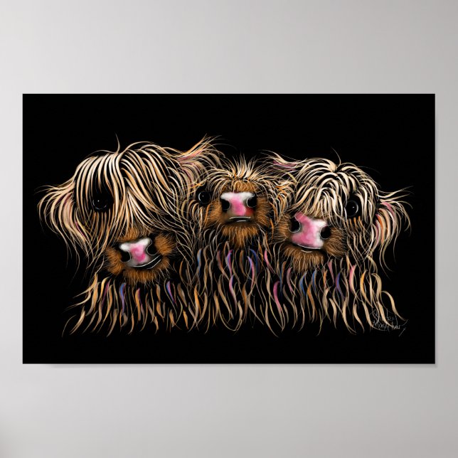 SCoTiSH HigHLaND CoWS ' THe McDouGHNuTS ' Poster (Vorne)