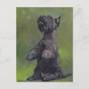 "Scottie aime les bulles" Carte postale de chien A