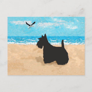 Scottie am Strand mit Möwe Postkarte