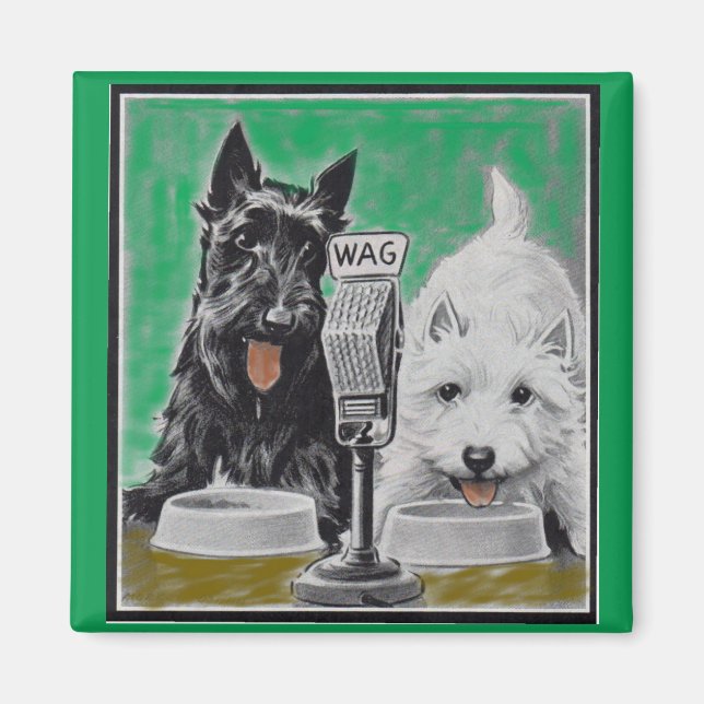 Scottie dogs Blackie and Whitie im Radio Magnet (Vorne)