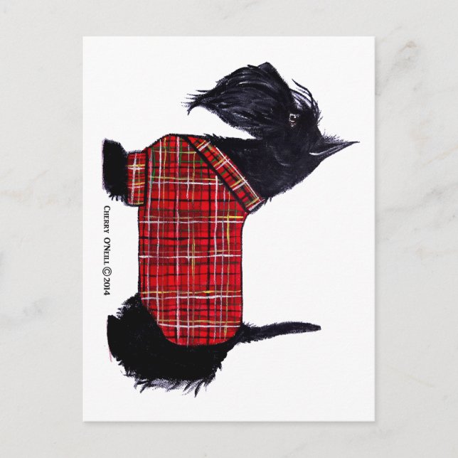 Scottie Holiday Jacket Feiertagspostkarte (Vorderseite)