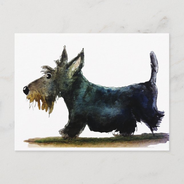 Scottie-Hund Postkarte (Vorderseite)