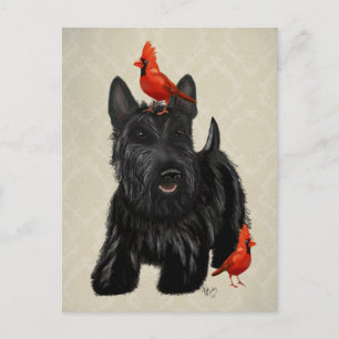 Scottie-Hund und rote Vögel Postkarte