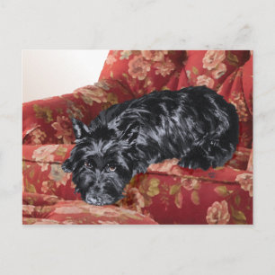 Scottie in einem großen roten Sessel Postkarte