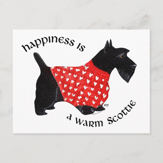 Scottie in Red Kariert Sweater Postkarte (Vorderseite)