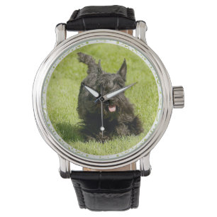 Scottie Running Free Armbanduhr