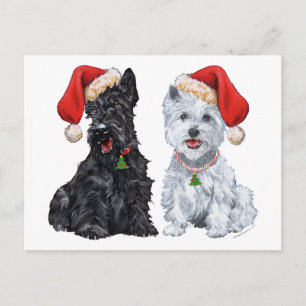 Scottie und Westie beim Weihnachtssingen Postkarte