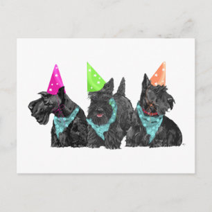 Scotties zur Feier in Partyhüten Postkarte