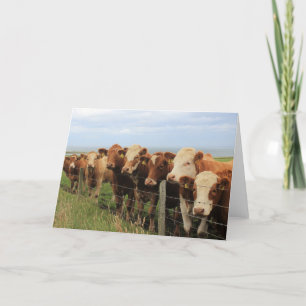 Scottish Cow Karte
