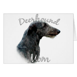 Scottish Deerhound Maman 2