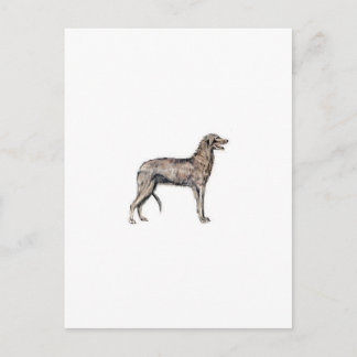 Scottish Deerhound Postkarte