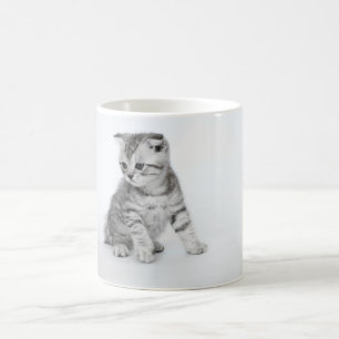 Scottish-Falten-Kätzchen Kaffeetasse