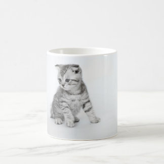 Scottish-Falten-Kätzchen Kaffeetasse