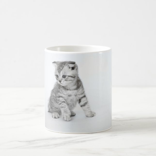 Scottish-Falten-Kätzchen Kaffeetasse (Mittel)