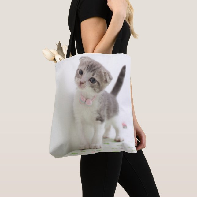 Scottish-Falten-Kätzchen Tasche (Von Nahem)