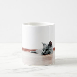 Scottish Fold Cat Kitten Super Niedlich Kaffeetasse