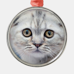 Scottish Fold Cat Ornament Aus Metall
