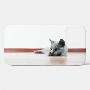 Scottish Fold Kitten Cat Super Niedlich Case-Mate iPhone Hülle