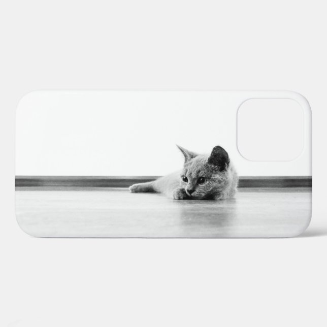Scottish Fold Kitten Cat Super Niedlich Case-Mate iPhone Hülle (Rückseite (Horizontal))