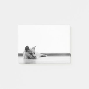 Scottish Fold Kitten Cat Super Niedlich Post-it Klebezettel