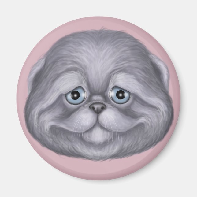 Scottish Fold Kitten Magnet (Vorne)