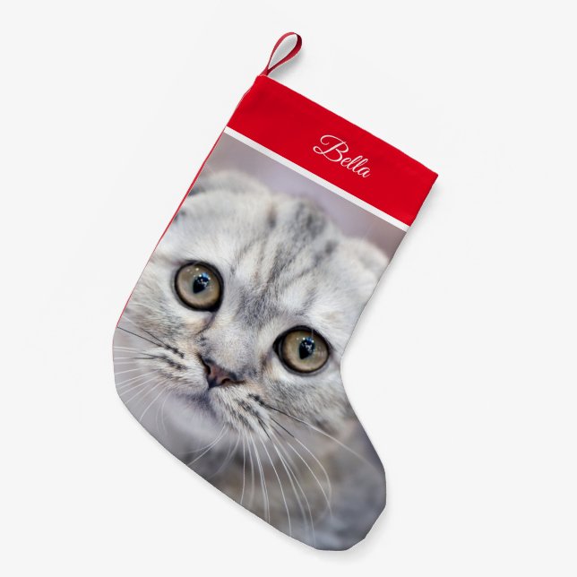 Scottish Fold Kleiner Weihnachtsstrumpf (Vorderansicht (hängend))