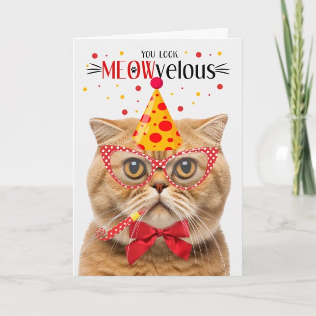 Scottish Fold Orange Cat MEOWvelous Birthday Karte (Vorderseite)