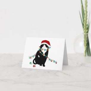 Scottish Fold Santa Cat Grußkarte Karte