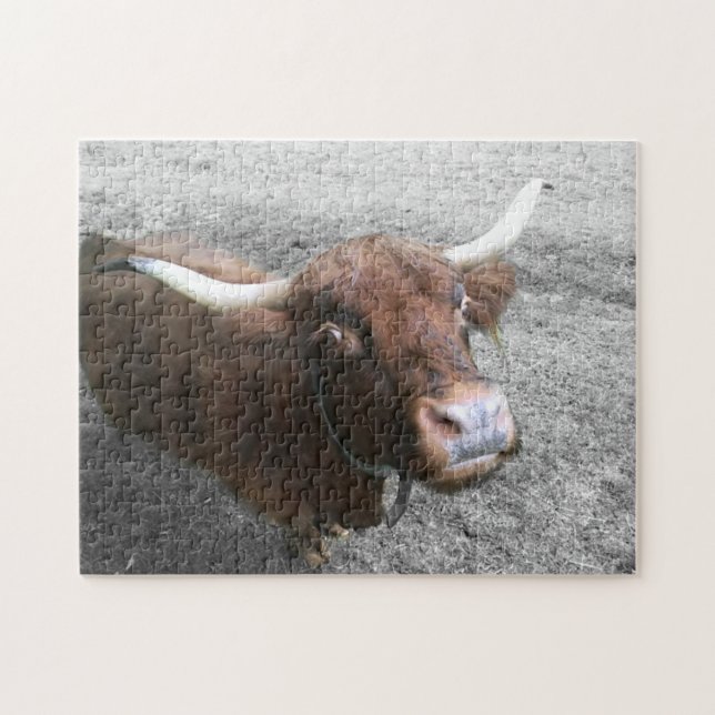 Scottish Highland Cattle Bauer Niedlichen Tiere (Horizontal)