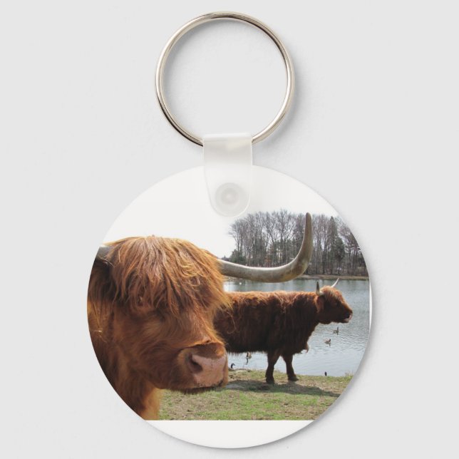 Scottish Highland Cattle ~ Schlüsselanhänger (Vorderseite)