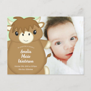 Scottish Highland Cow Baby Shower Postkarte