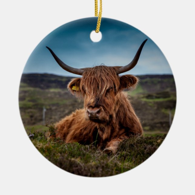 Scottish Highland Cow Longhorn Bull Rancher Keramik Ornament (Vorne)