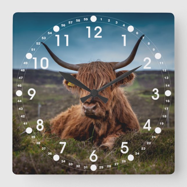 Scottish Highland Cow Longhorn Bull Rancher Quadratische Wanduhr (Vorderseite)