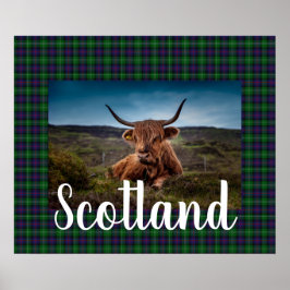 Scottish Highland Steer Poster