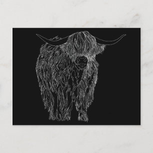 Scottish Highlander bull Postkarte