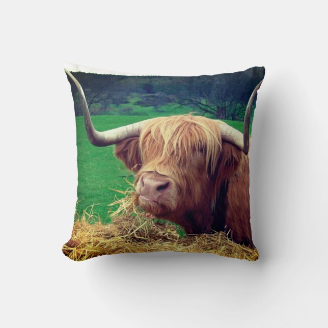 Scottish Highlander Cow Kissen (Vorderseite)